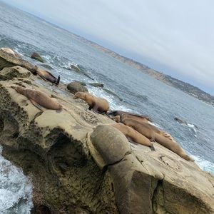 Meet your Posher, Joanne